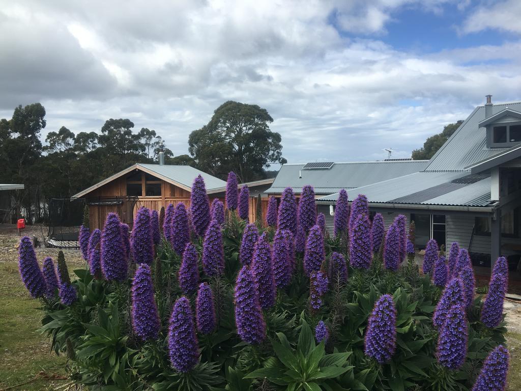 Bruny Island Lodge South Bruny Exteriér fotografie